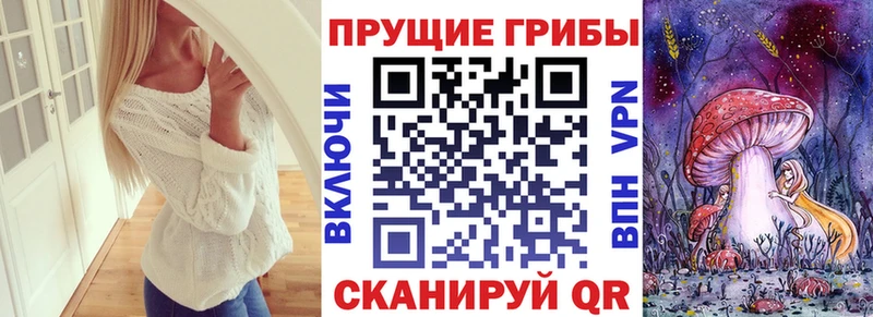 Псилоцибиновые грибы GOLDEN TEACHER  ссылка на мегу ONION  Советская Гавань 
